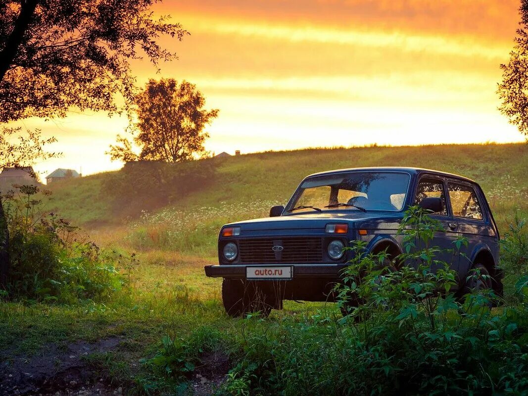 Нива природа фото Купить б/у Lada (ВАЗ) 2121 (4x4) I Рестайлинг 1.7 MT (79 л.с.) 4WD бензин механи