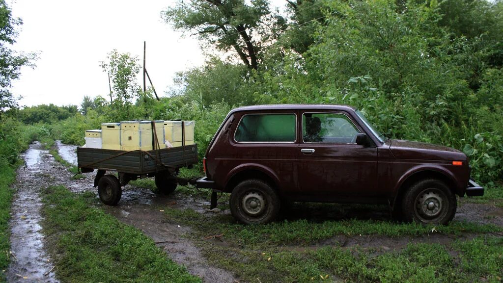 Нива с прицепом фото Пасека Павловых - интернет магазин меда - Перевозка пчёл и случай в дороге