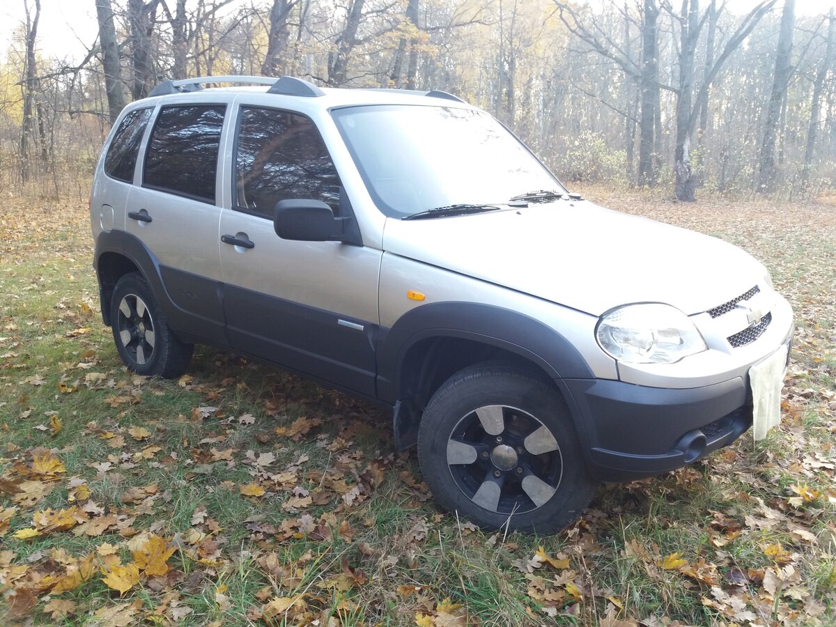 Нива шевроле 2010 фото Купить б/у Chevrolet Niva I Рестайлинг 1.7 MT (80 л.с.) 4WD бензин механика в Ря