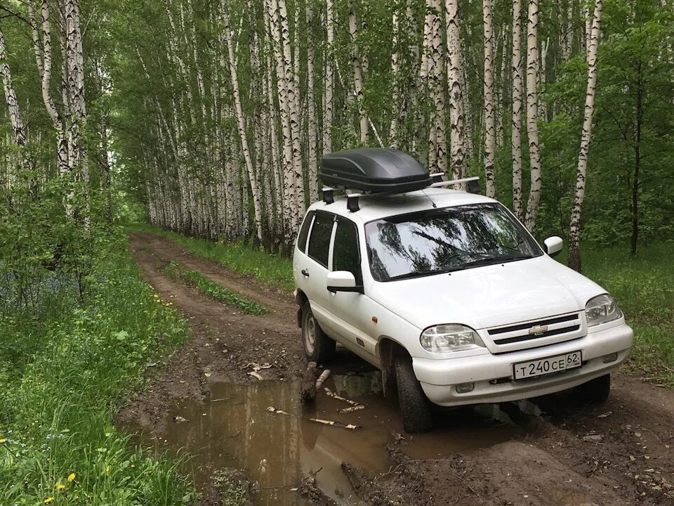 Нива шевроле атака фото После года совместных километров. Зеркала и сидение. - Chevrolet Niva, 1,7 л, 20