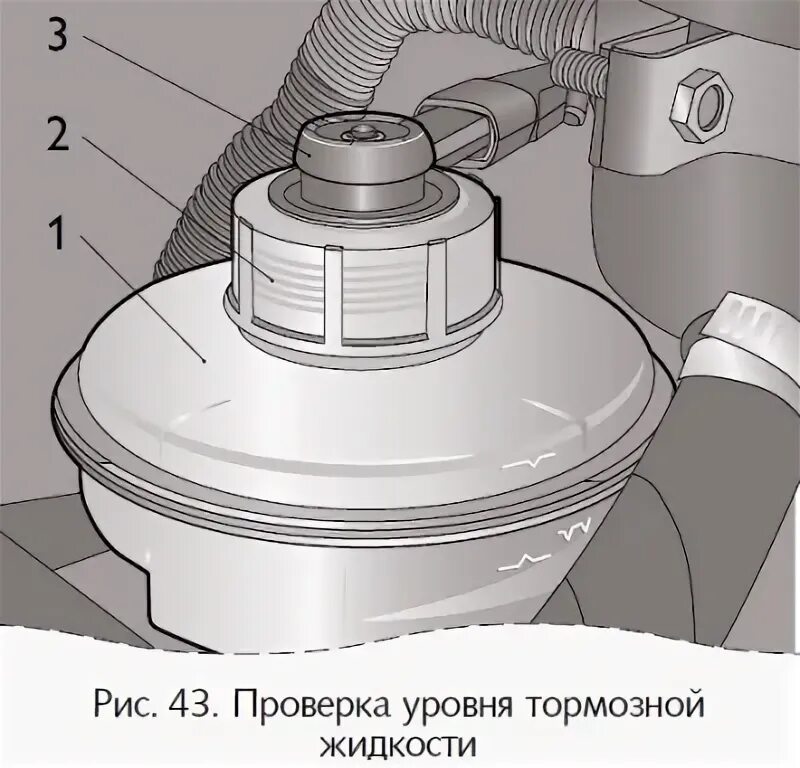 Нива шевроле куда заливать тормозную жидкость фото Brake system (Chevrolet Niva 1 2002-2016: General information: Maintenance)