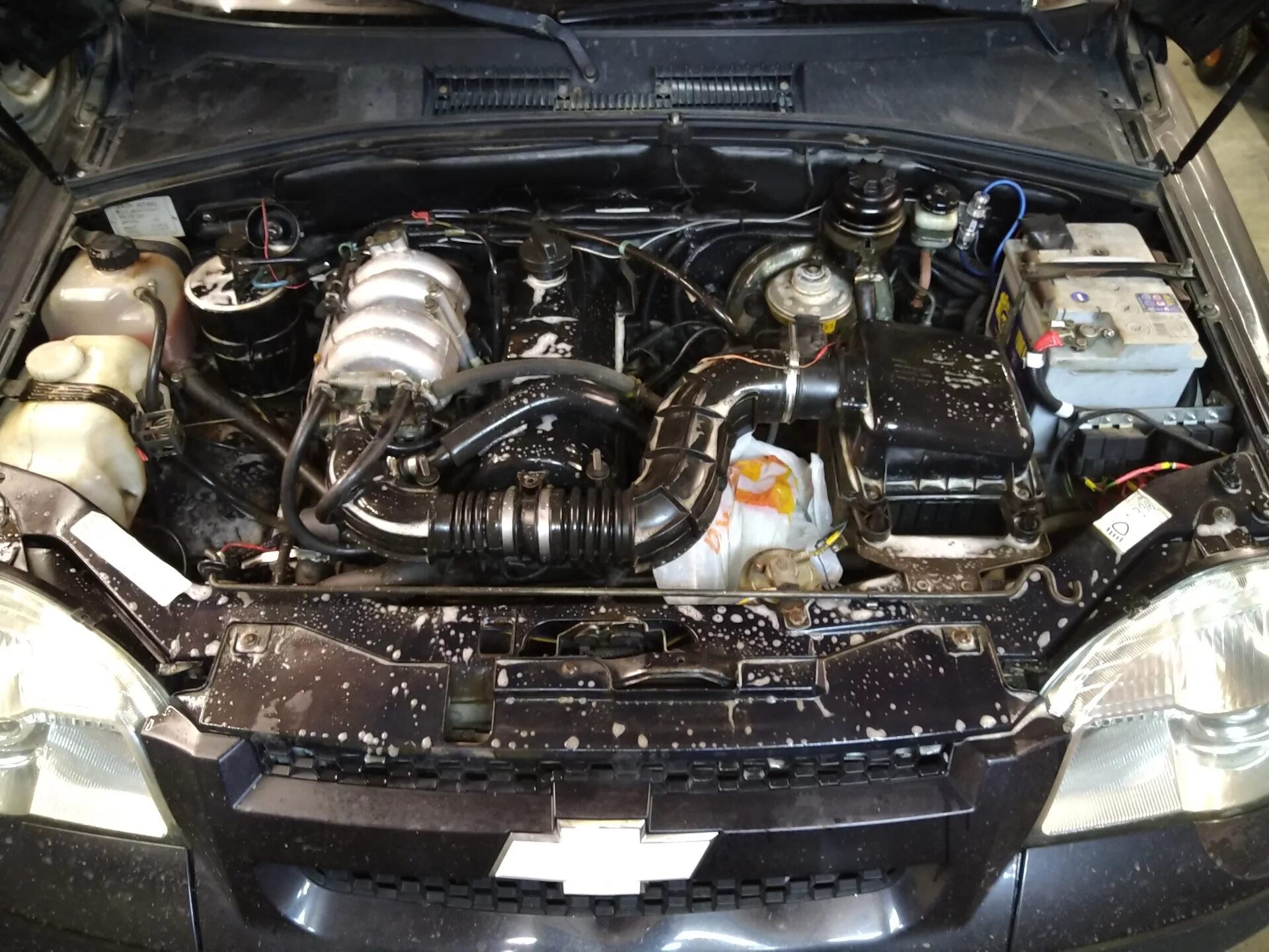 Нива шевроле подкапотное пространство фото с описанием Помыл подкапотку) - Chevrolet Niva, 1,7 л, 2010 года мойка DRIVE2