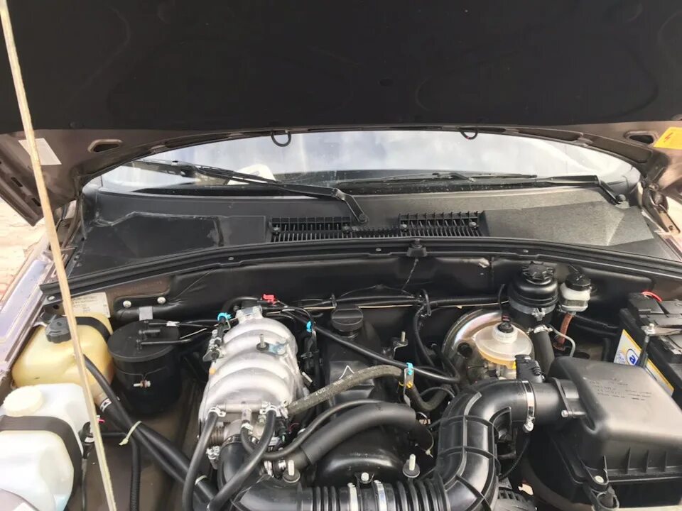 Нива шевроле подкапотное пространство фото с описанием Чистота залог здоровья - Chevrolet Niva GLX, 1,7 л, 2013 года мойка DRIVE2