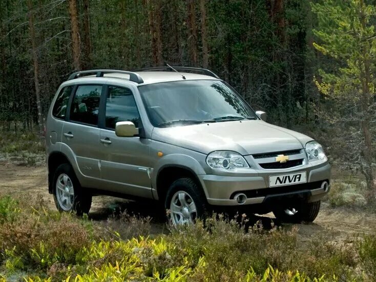 Нива шевроле смотреть фото Купить б/у Chevrolet Niva I 1.7 MT (80 л.с.) 4WD бензин механика в Красноярске: 