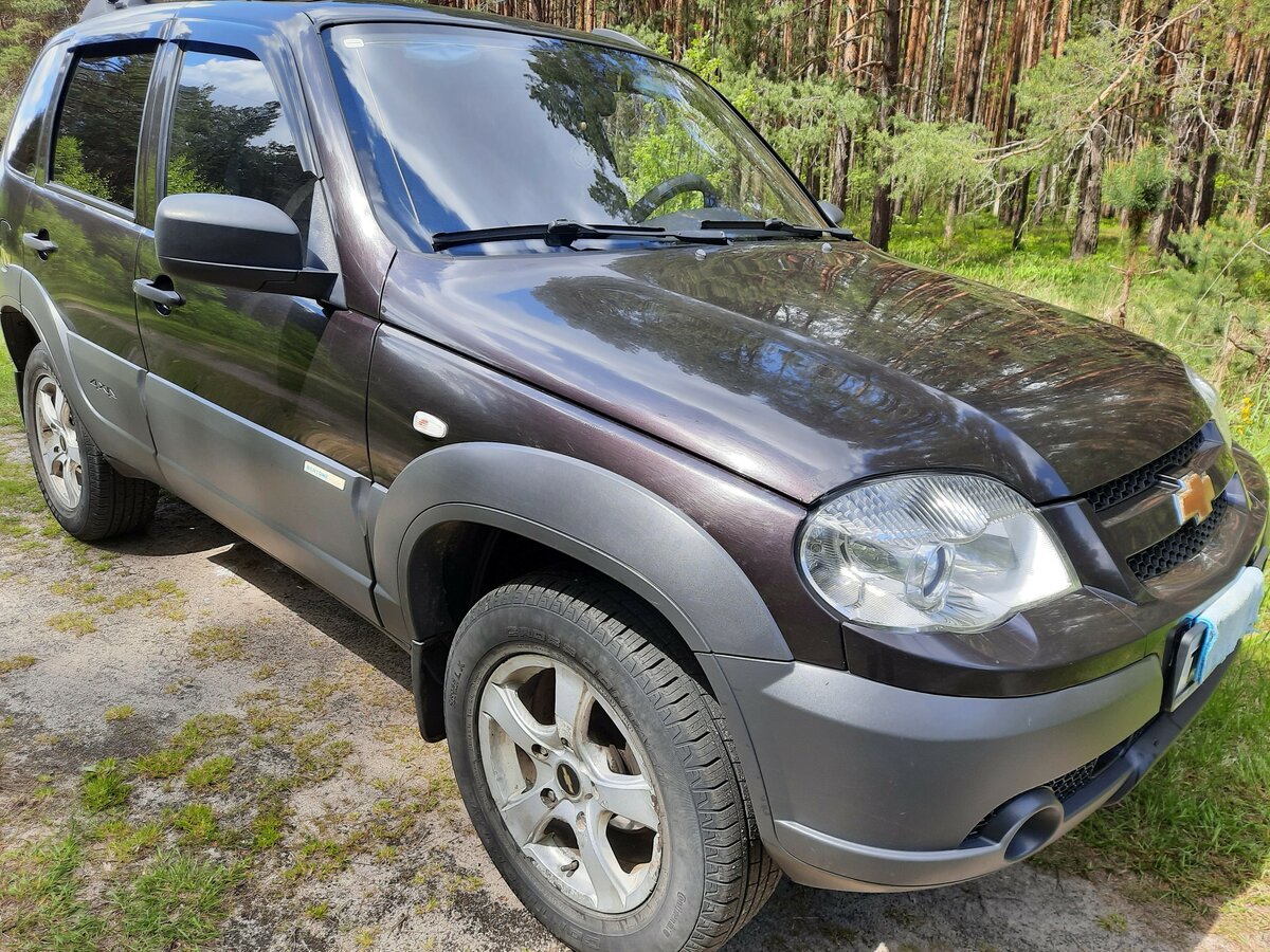 Нива шевроле цвета фото Купить б/у Chevrolet Niva I Рестайлинг 1.7 MT (80 л.с.) 4WD бензин механика в Бр