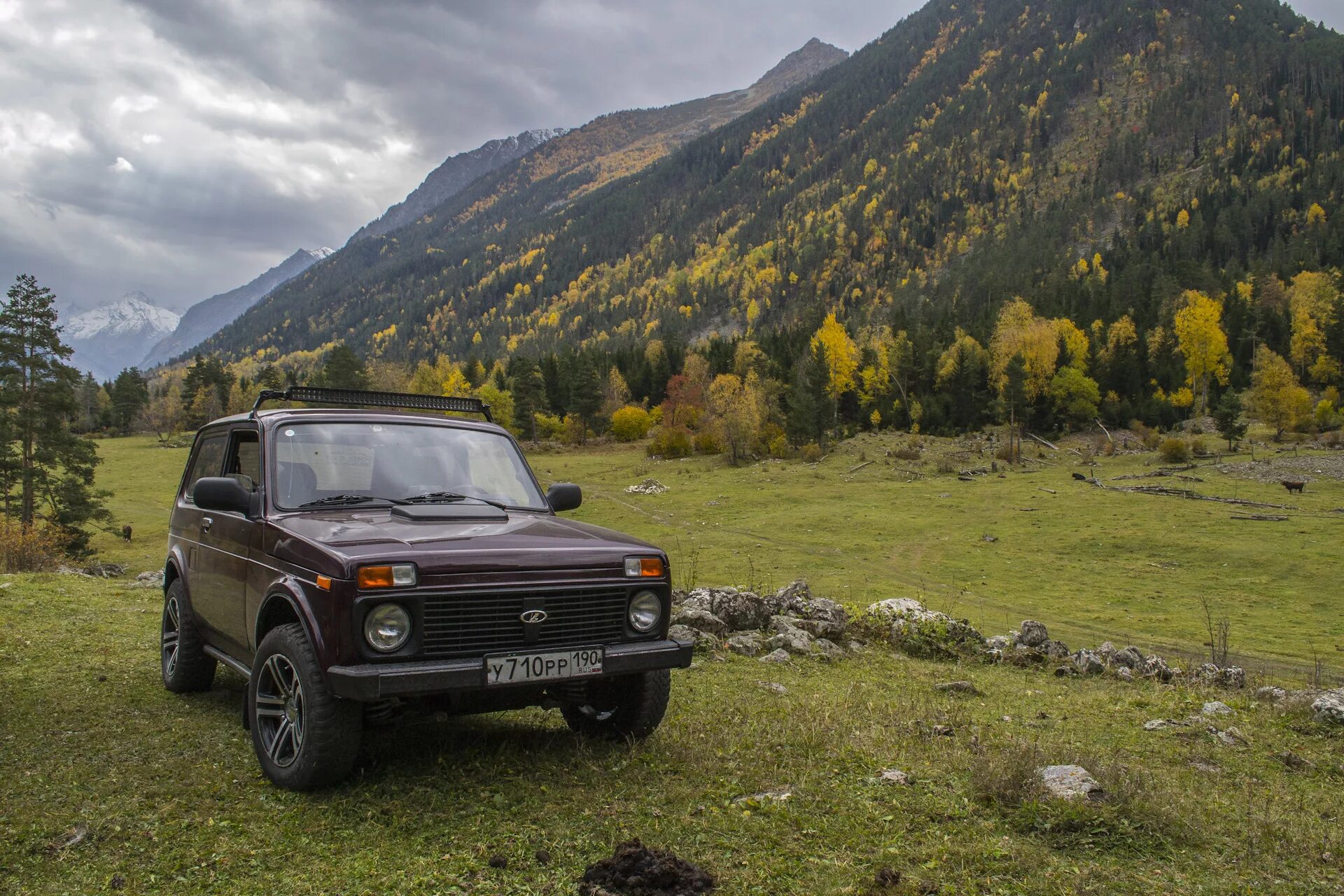 Нива travel фото Нива радует нового хозяина - Lada 4x4 3D, 1,8 л, 2002 года продажа машины DRIVE2
