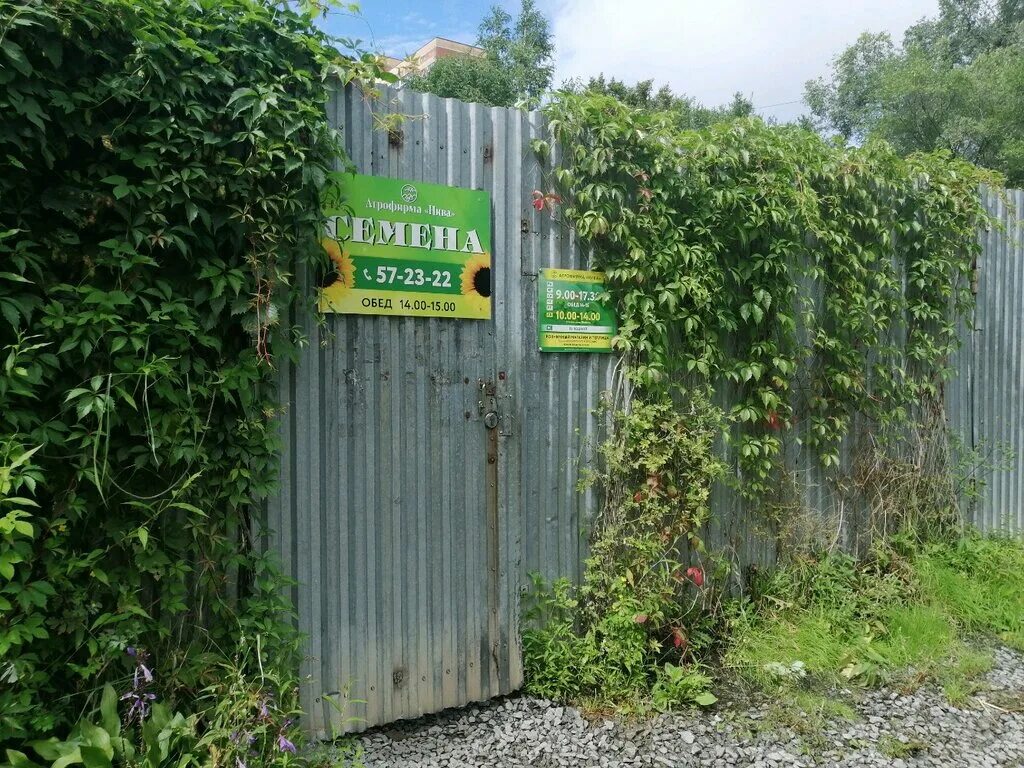 Нива ул фрунзе 92 фото Панорама: Нива, магазин семян, ул. Фрунзе, 92, Хабаровск - Яндекс Карты