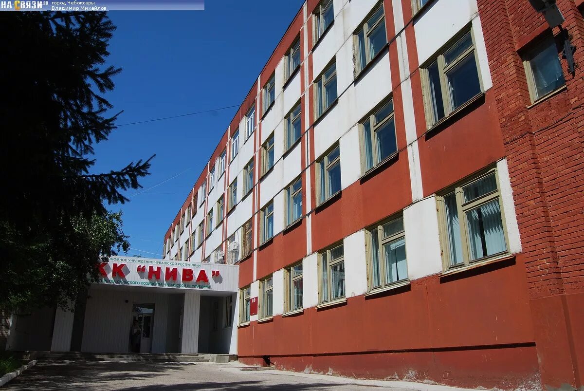 Нива ул пирогова 16 фото Для размещения офиса Чувашревизсоюза передано госимущество Государственная служб