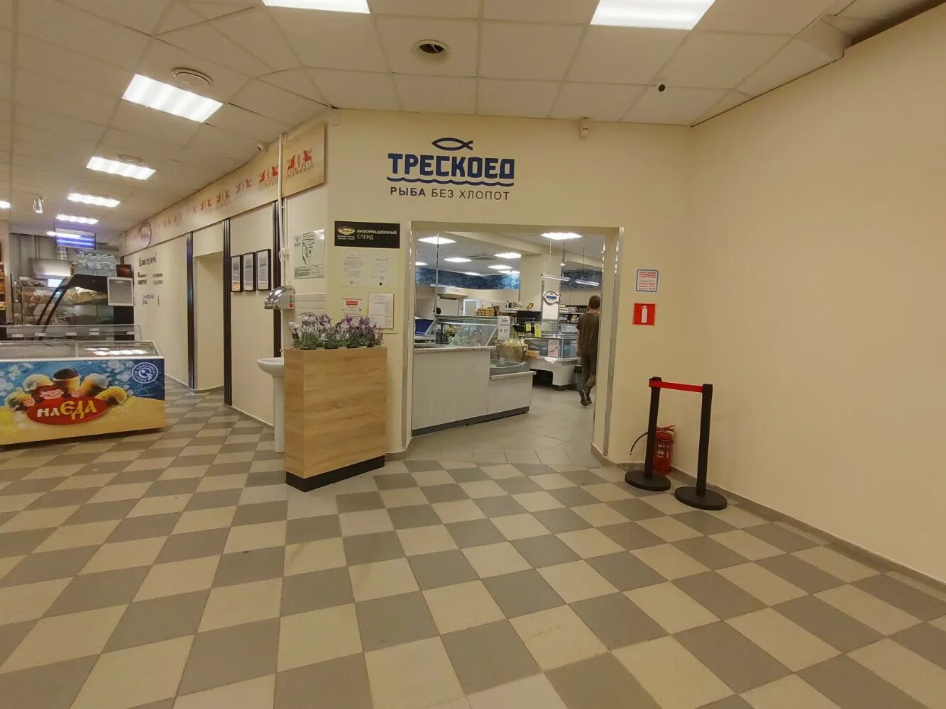 Нива ул прокопия галушина 7 фото Панорама: Трескоед, рыба и морепродукты, ул. Прокопия Галушина, 7, Архангельск -