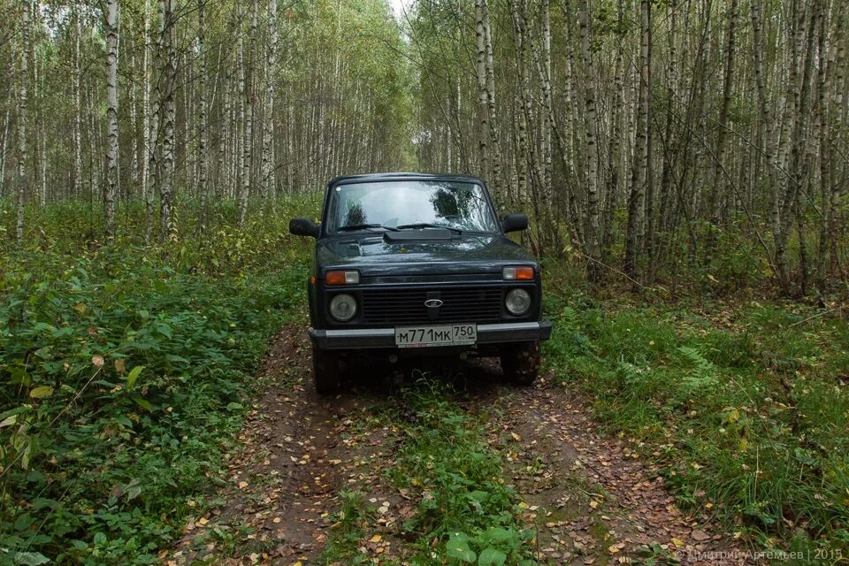 Нива в лесу фото Фотопост: Нива, поле, лес - Lada 4x4 3D, 1,7 л, 2015 года фотография DRIVE2