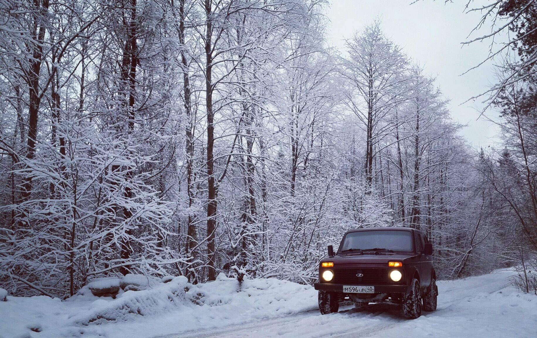 Нива в лесу фото Фото нивы - Lada 4x4 3D, 1,7 л, 1999 года фотография DRIVE2