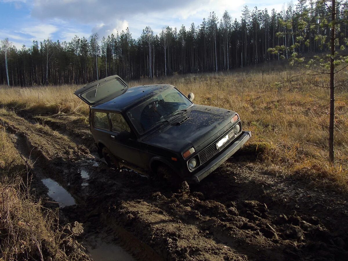 Нива в лесу фото Однажды в лесу - Lada 4x4 3D, 1,7 л, 2013 года фотография DRIVE2