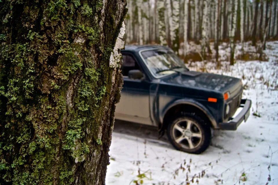 Нива в лесу фото Нивка в лесу. - Lada 4x4 3D, 1,7 л, 2013 года покатушки DRIVE2