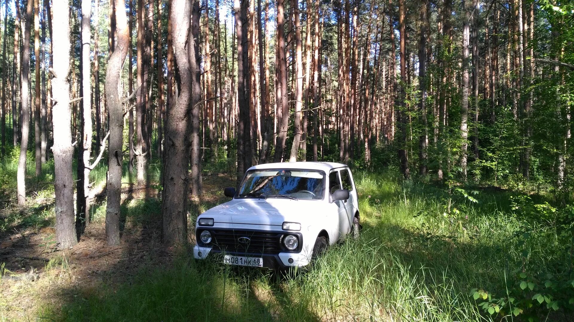 Нива в лесу фото В лес за земляникой - Lada 4x4 3D, 1,7 л, 2015 года фотография DRIVE2