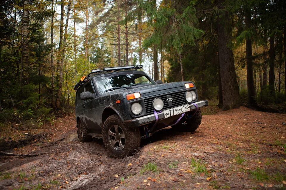 Нива в лесу фото Лесное озеро. Дубль 2. - Lada 4x4 3D, 1,7 л, 2015 года покатушки DRIVE2