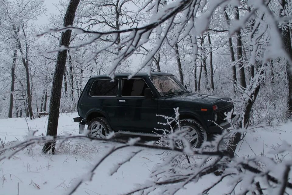 Нива в лесу фото Зимние фото в лесу (часть 2) - Lada 4x4 3D, 1,7 л, 1999 года фотография DRIVE2
