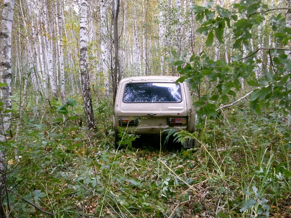Нива в лесу фото Нашел брошенную НИВУ - Сообщество "Брошенные Машины" на DRIVE2