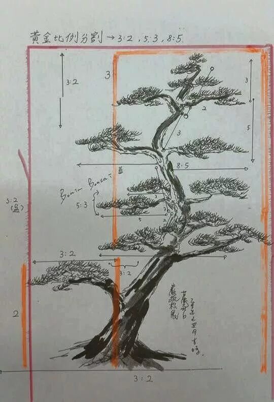 Ниваки из сосны обыкновенной своими руками схема зимовка бонсаи подогрев Bonsai tree types, Bonsai tree care, Bonsai art