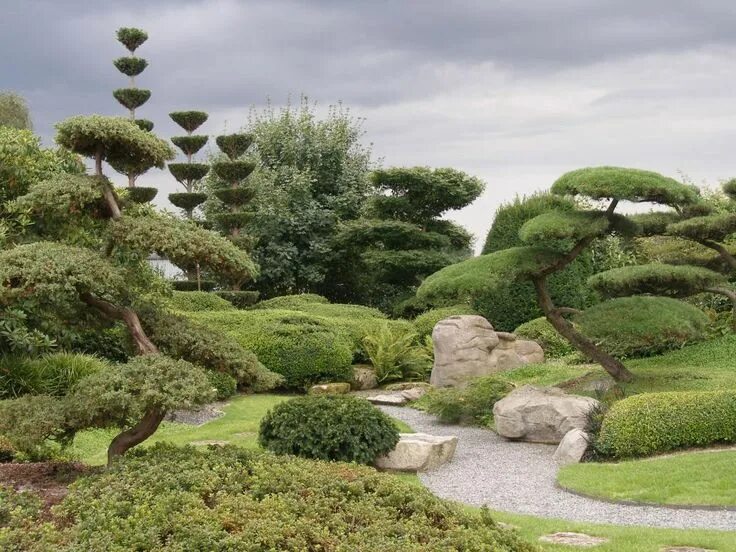 Ниваки в ландшафтном дизайне Gestaltungstipps für Japanische Gärten Japanischer garten, Garten, Asia garten