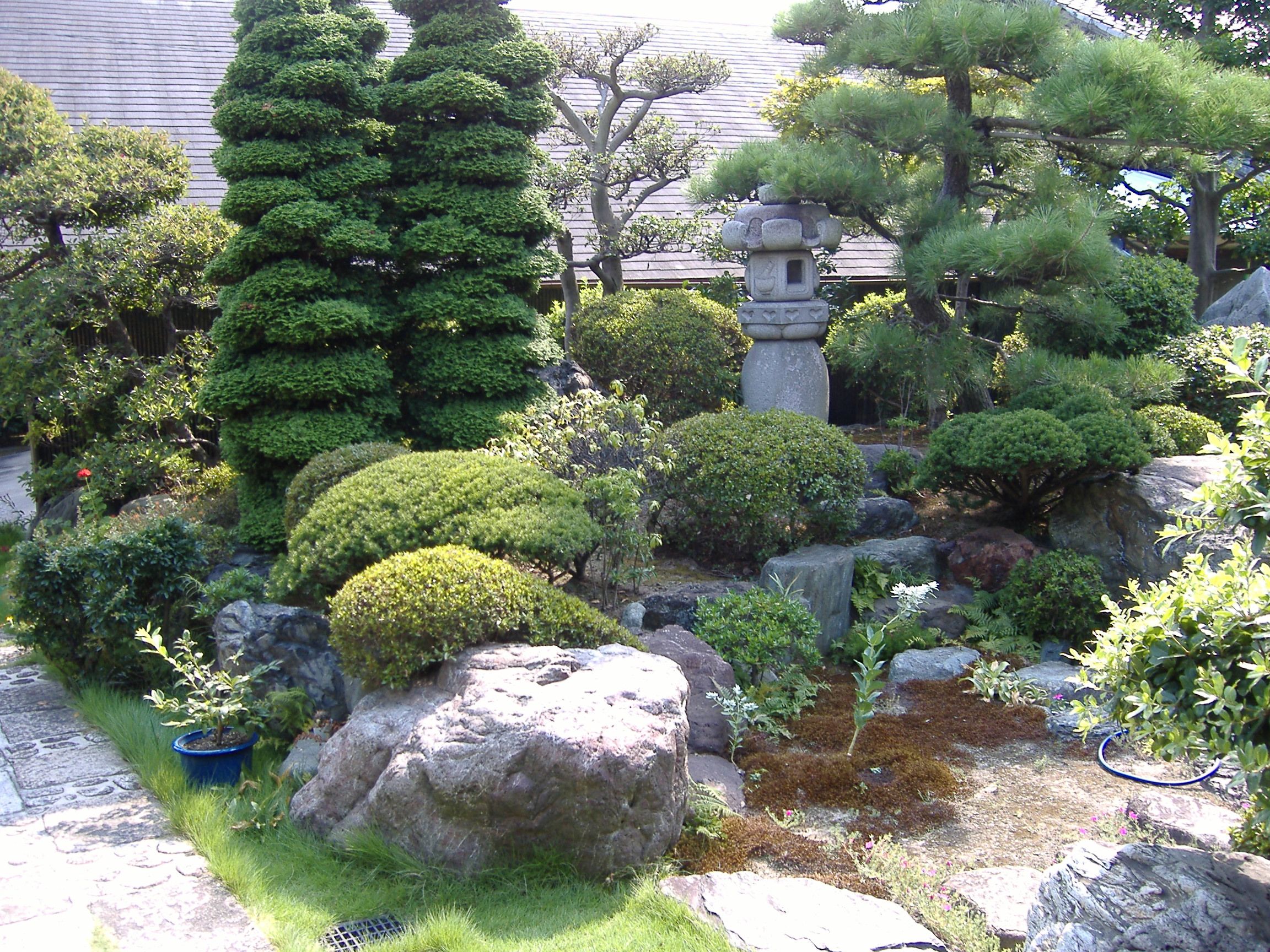Ниваки в ландшафтном дизайне Buddhist ceremony, traditional japanese garden,. Japanese garden landscape, Japa