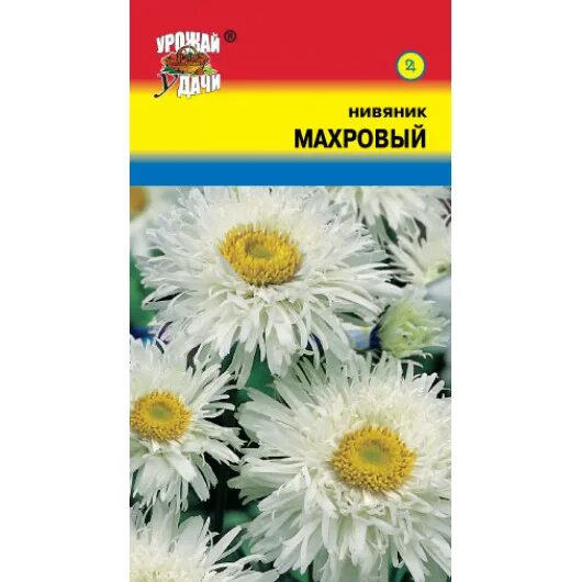 Нивяник семена фото Нивяник Махровый многолет.
