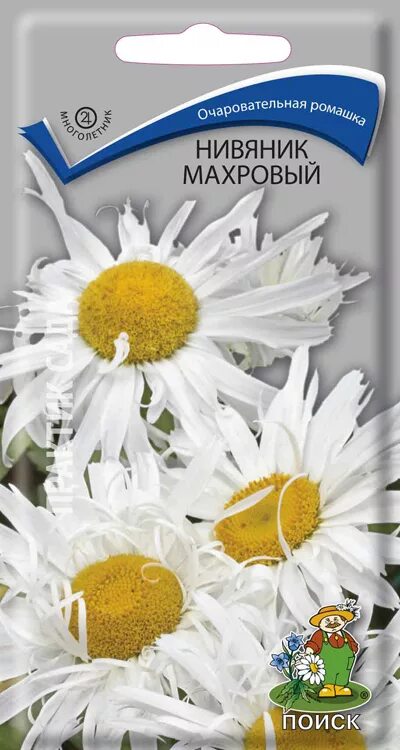 Нивяник семена фото Нивяник Махровый (Поиск) - купить, заказать в магазине Натуралист