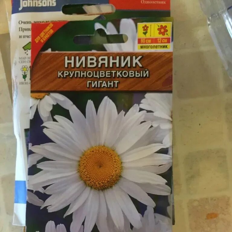Нивяник семена фото Нивяник крупноцветковый Гигант - описание семян с фотографиями растения. Отзывы 