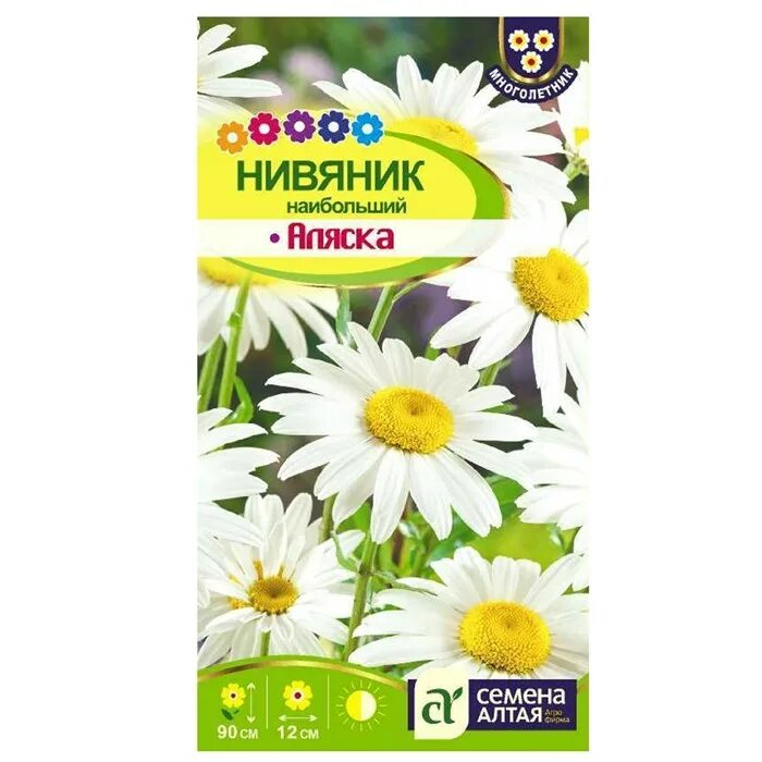 Нивяник семена фото Нивяник Аляска 0,1гр Семена Алтая 23руб.