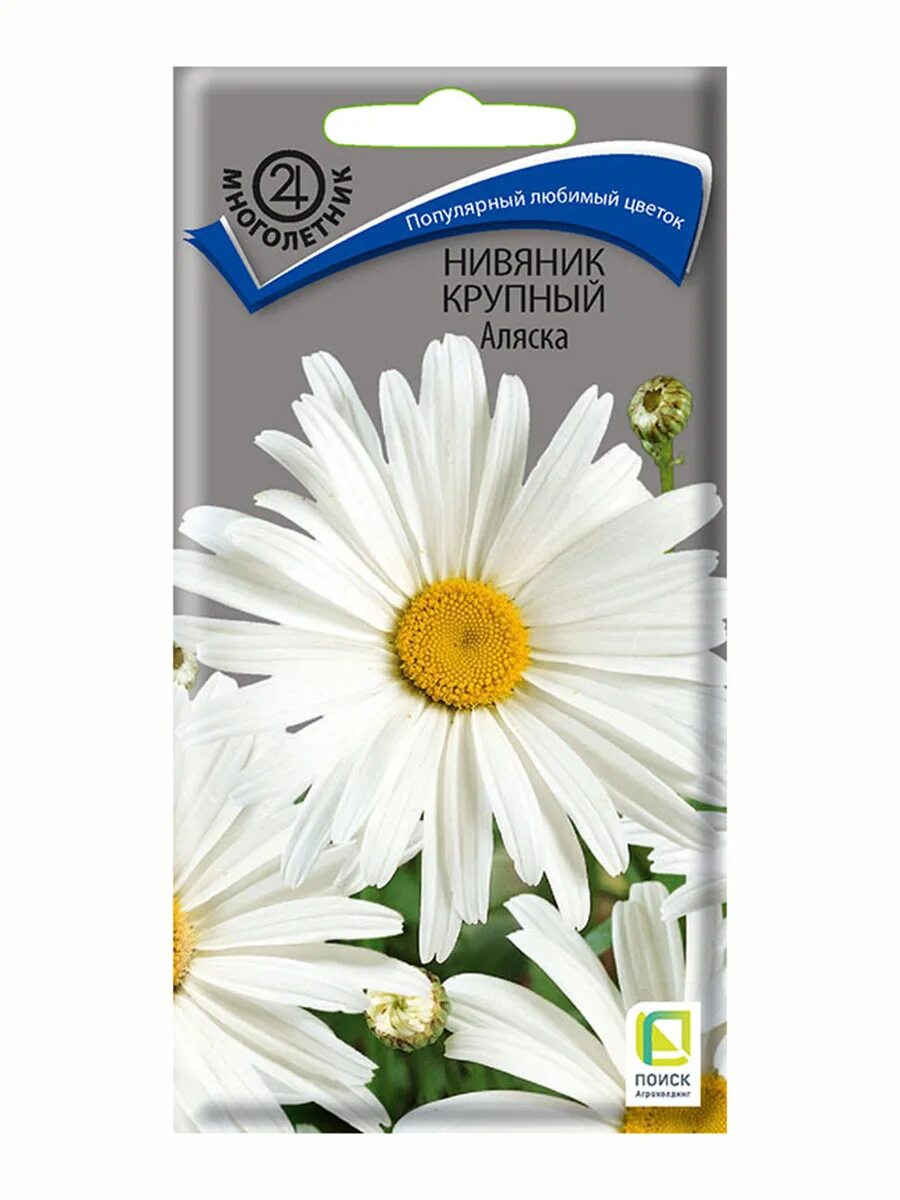 Нивяник семена фото Семена цветов Поиск нивяник крупный Аляска 0.5 г купить в Приозерске в ТД ВИМОС