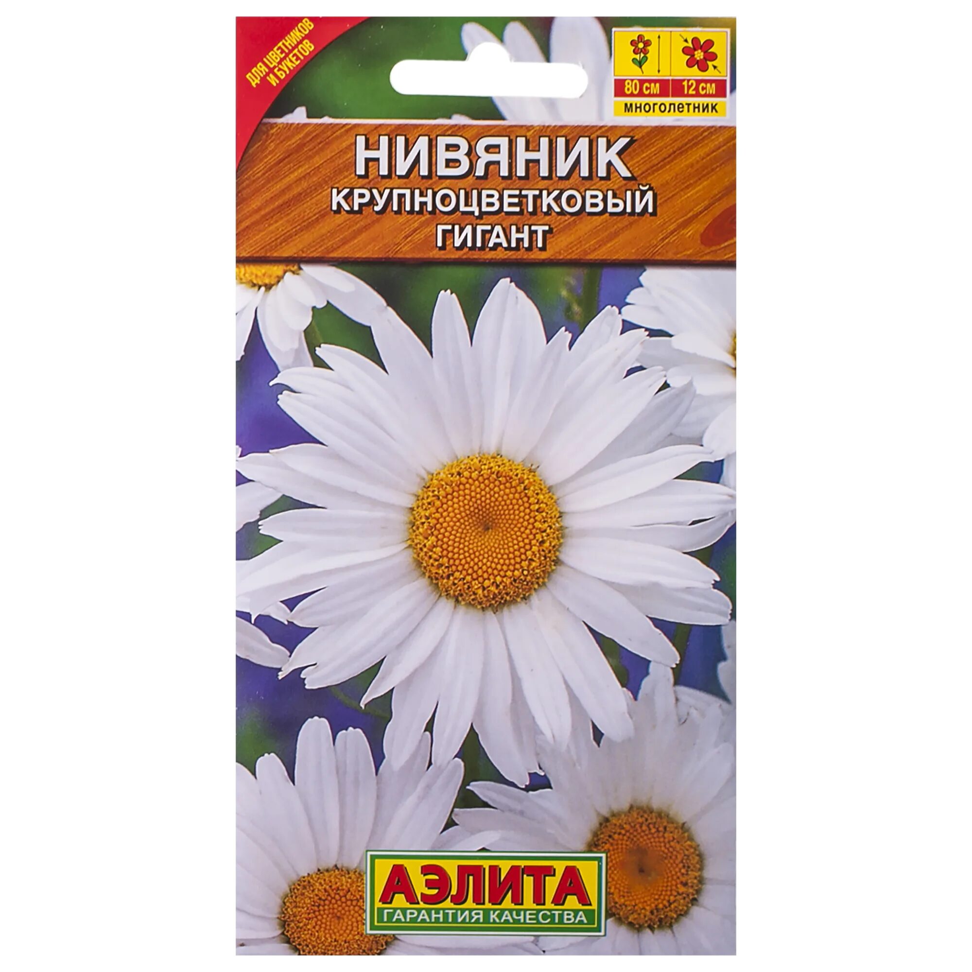 Нивяник семена фото Нивяник Гигант крупноцв. Аэлита Ц