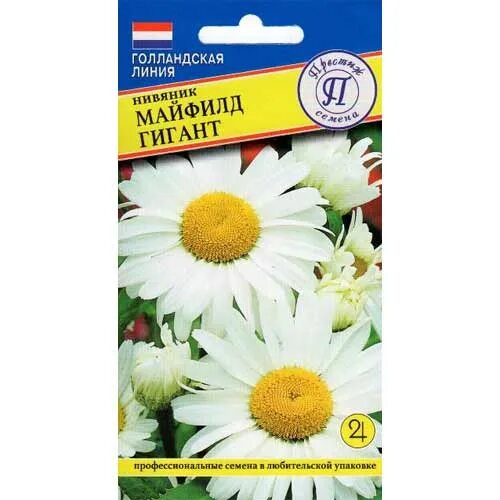 Нивяник семена фото Нивяник Майфилд гигант Престиж (84509): купить семена почтой в России интернет-м