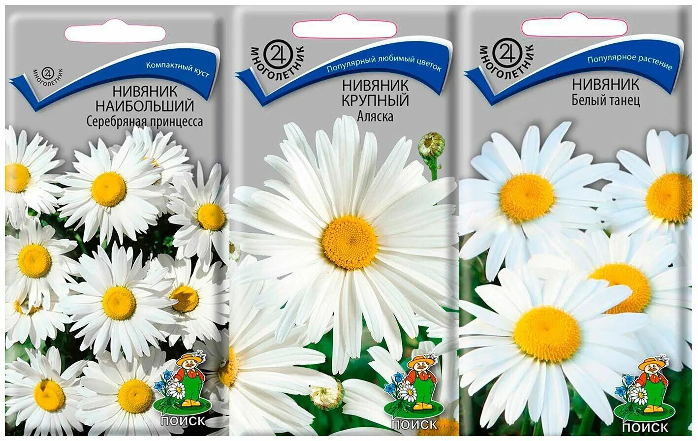 Нивяник семена фото Нивяник наибольший аляска - купить по низкой цене на Яндекс Маркете