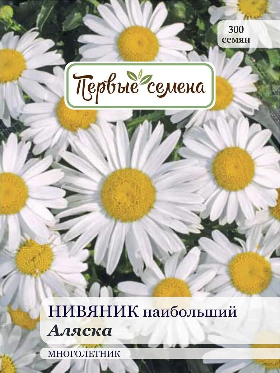 Нивяник семена фото Семена Первые семена Нивяник наибольший Аляска, 0,3 г Первые семена 11205387 куп