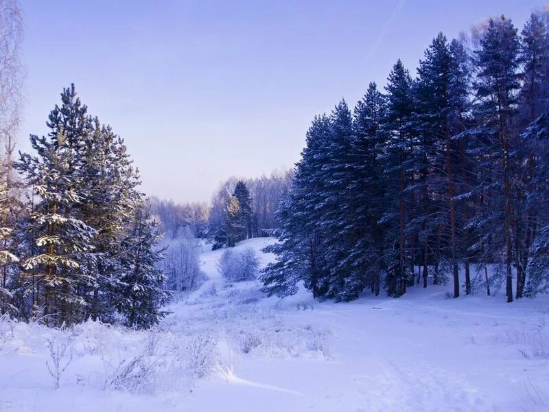 Нижегородская область фото зимой Легенды и были озера Светлояр (Нижний Новгород), 7 часов