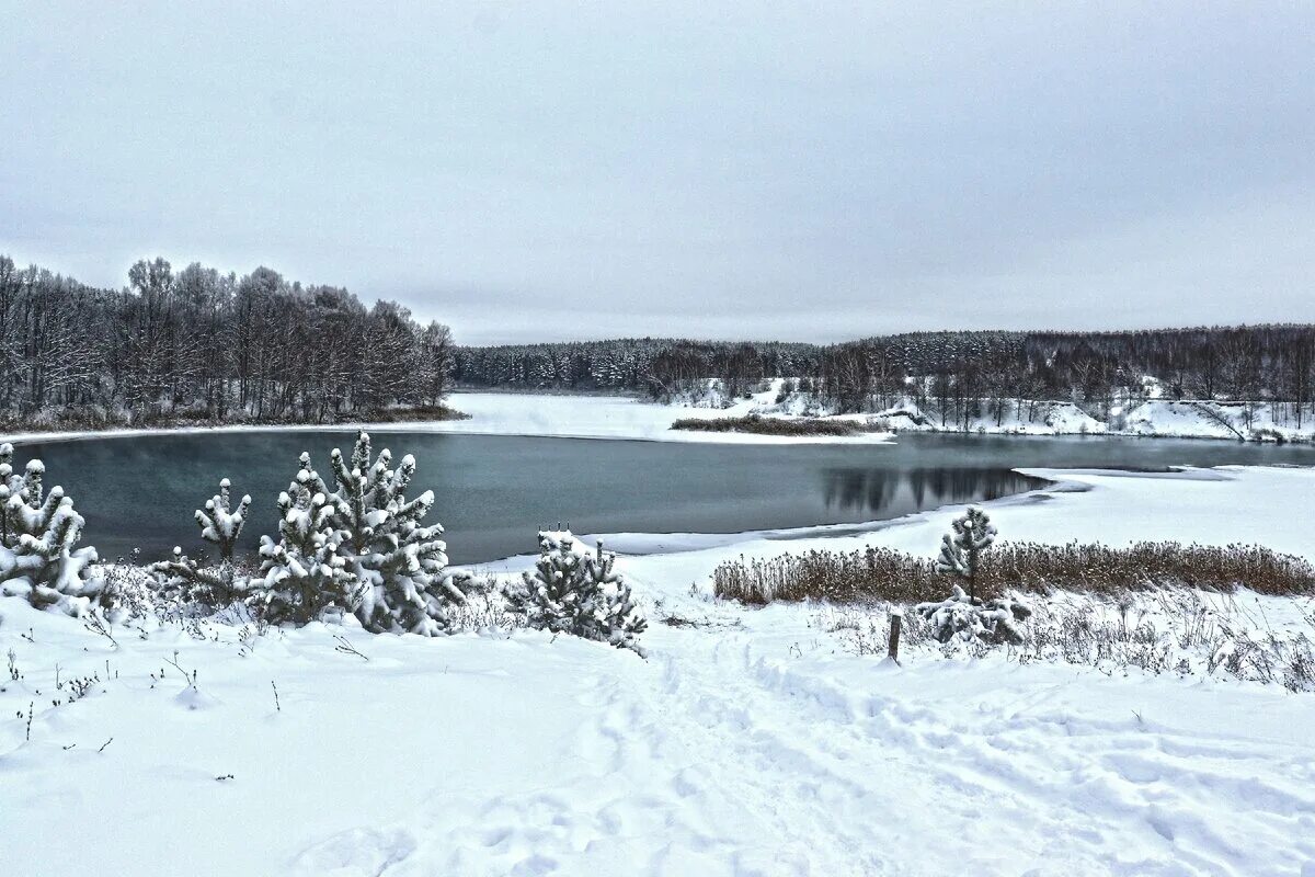 Нижегородская область фото зимой Озеро которое не замерзает. Нижегородская область. Тут недалеко Дзен
