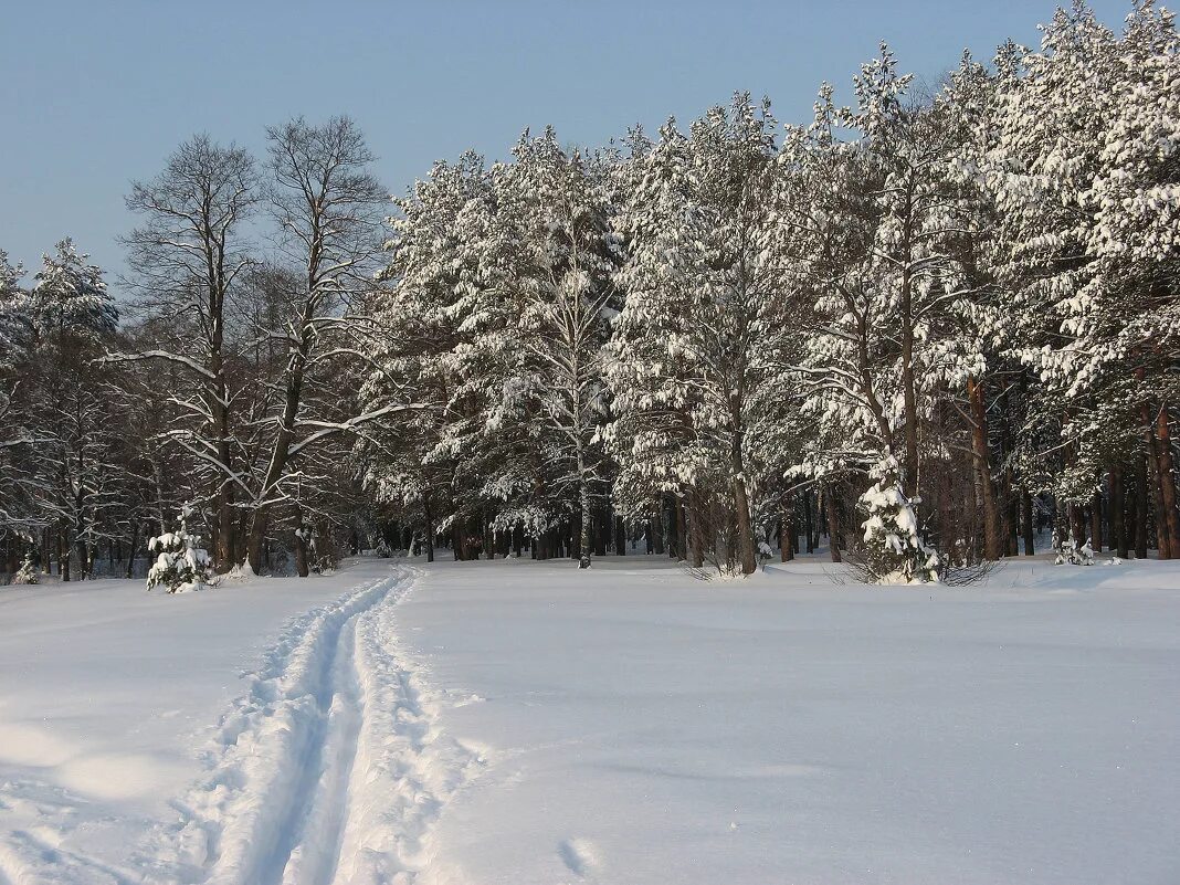 Нижегородская область фото зимой Зима, Рекшино, Нижегородской области :: Сергей - Социальная сеть ФотоКто