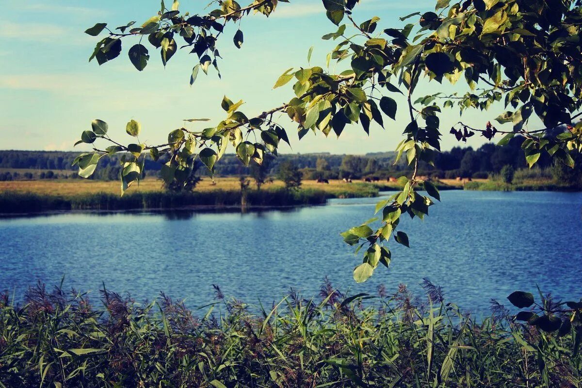 Нижегородская природа фото Нижегородская природа