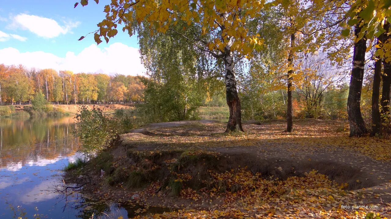 Нижегородская природа фото Природа нижегородской области фото YugNash.ru
