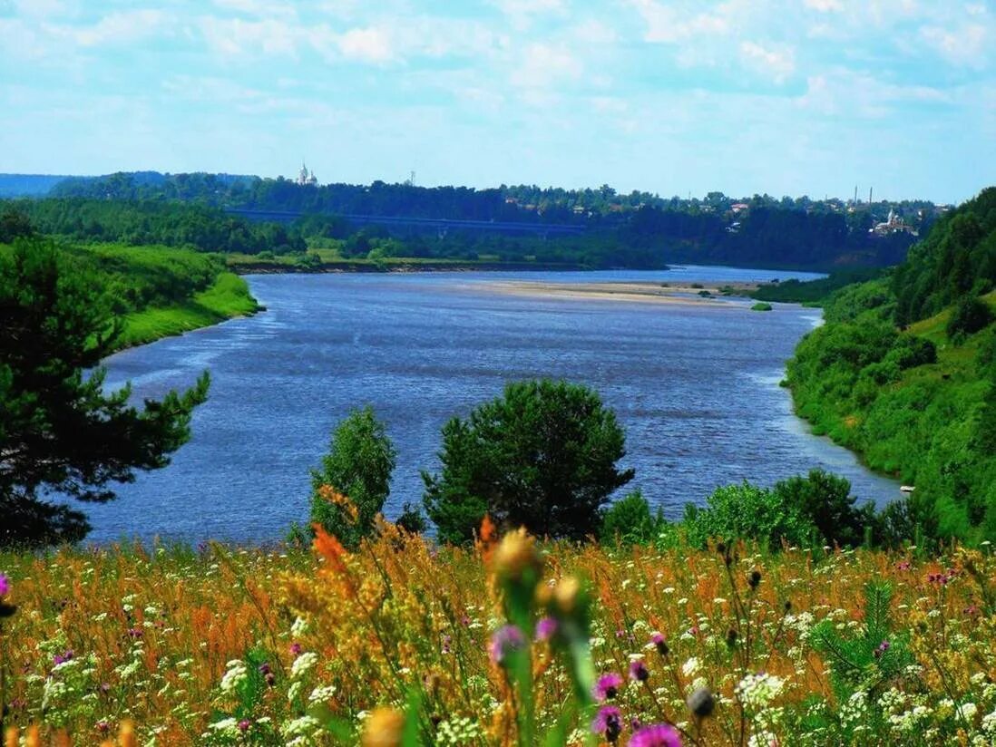 Нижегородская природа фото Природа нижнего