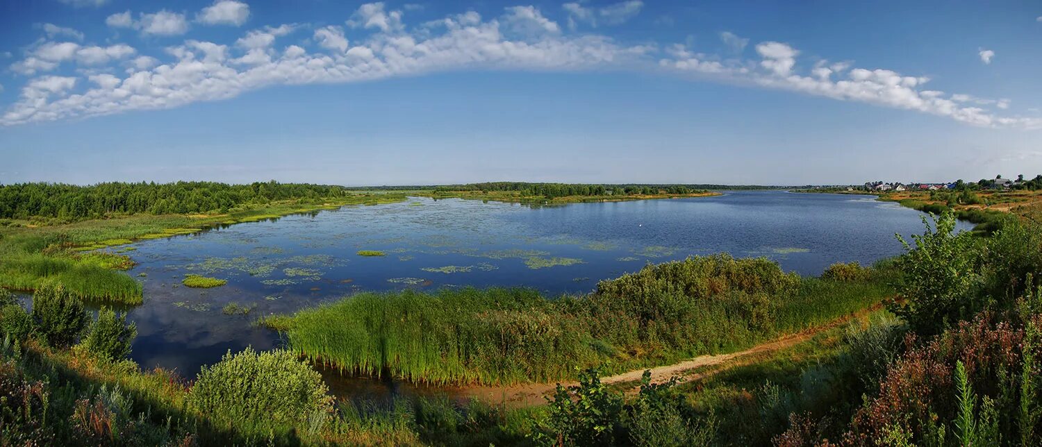 Нижегородская природа фото Картинки НИЖЕГОРОДСКИЙ ПРИРОДНЫЙ ЗАПОВЕДНИК