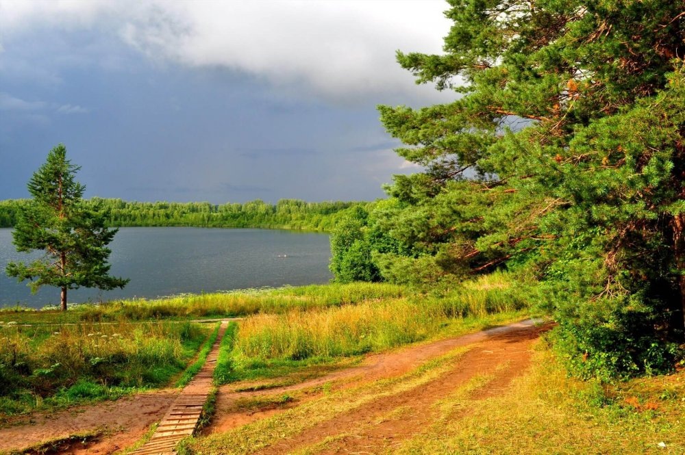 Нижегородская природа фото Град Китеж и Несси нижегородского разлива КОФЕ, ТАЙНЫ И ТУМАНЫ Дзен