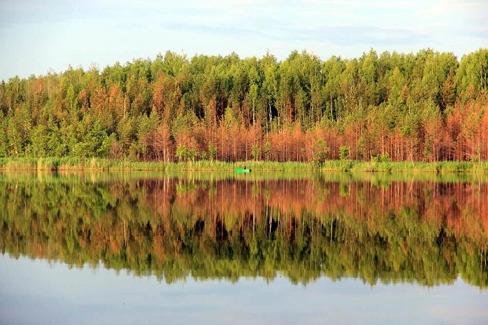 Нижегородская природа фото Летнее путешествие по озёрам Заветлужья Марийские Лесоходы