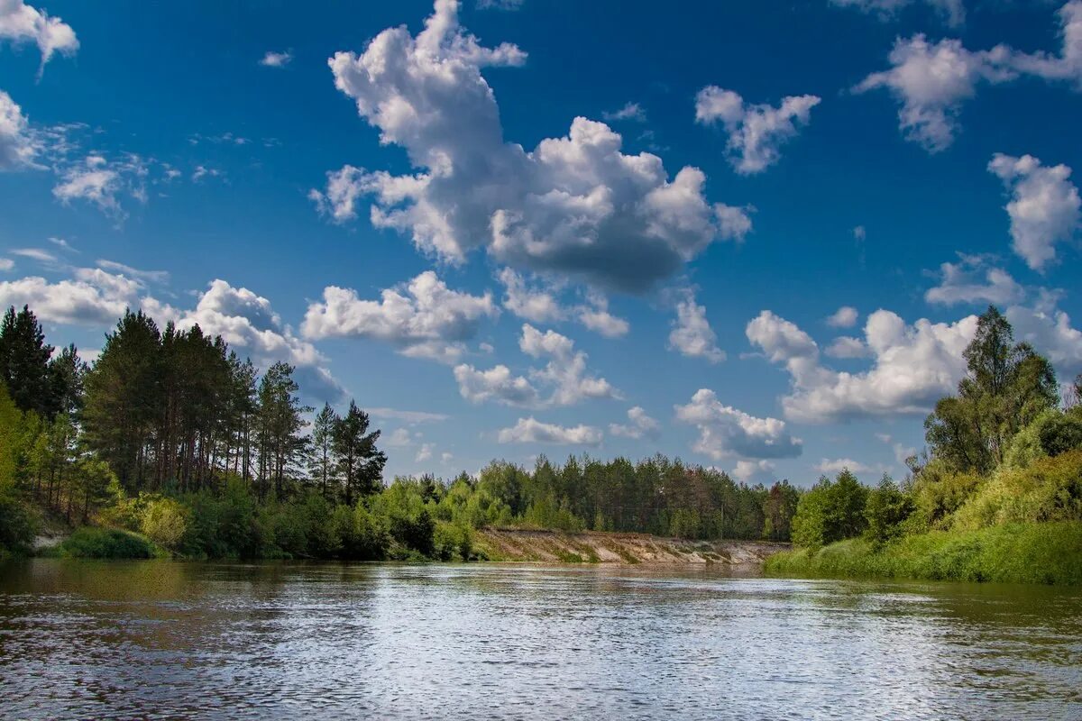 Нижегородская природа фото Нацпроект "Экология" в Нижегородской области: итоги и планы Новости партнеров на