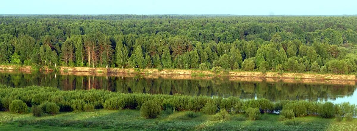 Нижегородские леса фото Священные рощи Тоншаевского района Нижегородской области Марийские Лесоходы