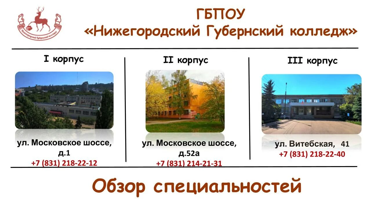 Нижегородский губернский колледж фото Специальности для поступающих
