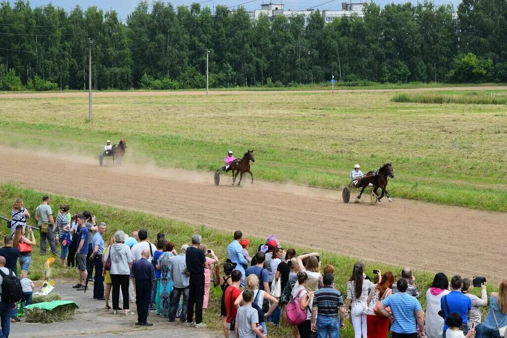 Нижегородский ипподром просп гагарина 234 фото Нижегородский ипподром, ипподром, просп. Гагарина, 234, Нижний Новгород - Яндекс