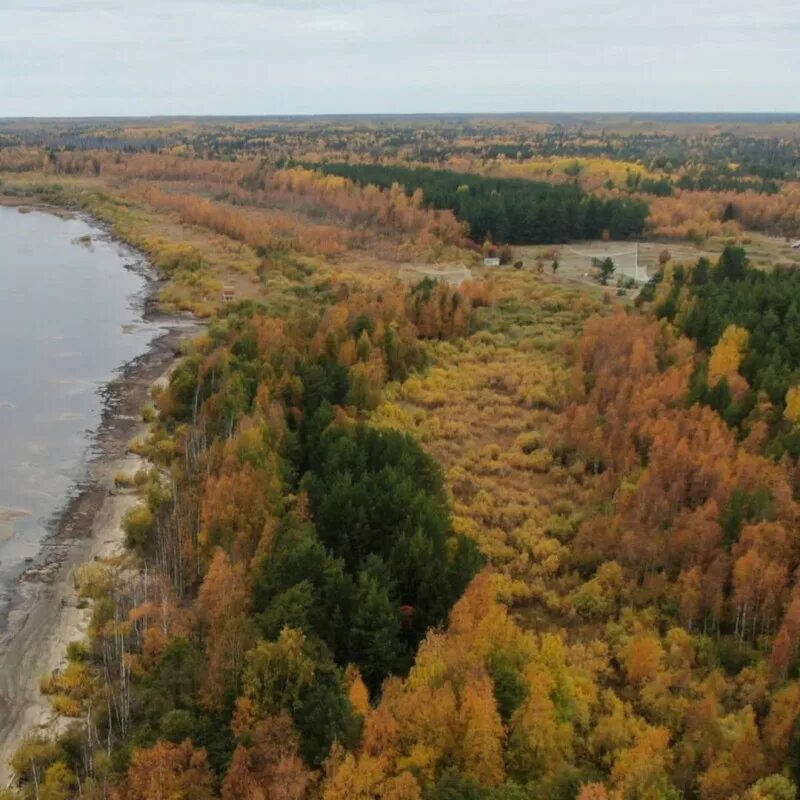 Нижне свирский заповедник фото В Нижне-Свирском заповеднике царит хмурая осень