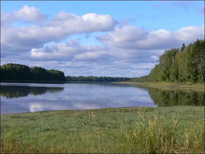 Нижне свирский заповедник фото Нижне-Свирский государственный природный заповедник
