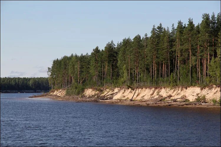 Нижне свирский заповедник фото Заповедник нижне свирский фото YugNash.ru