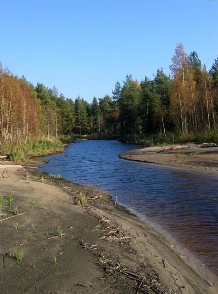 Нижне свирский заповедник фото По экотропам заповедника. Нижне-Свирский г.п.з. Альбом мероприятия - 8 фотографи